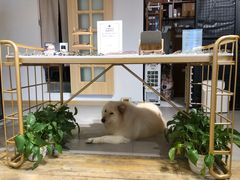 -肆兮眼镜·蔡司·徕卡战略合作店(大坪店)