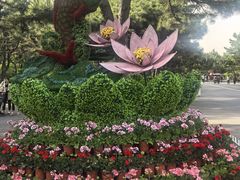 -北陵公园
