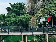 -侨美·唐荔园·40年地道粤菜