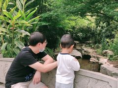 -龙头寺公园