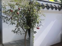 -道南書院·私房菜·早午茶·茶馆