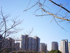 -新江湾城公园