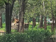 -秦皇岛野生动物园