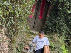 -杨家堂村