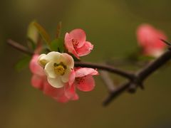 -共青国家森林公园-售票处