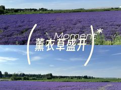 -新疆那拉提国家旅游度假区