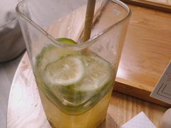 霸气青柠-柴迷FANS CLUB·柴犬狗咖·猫咖