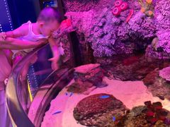 -沈阳海洋探索中心