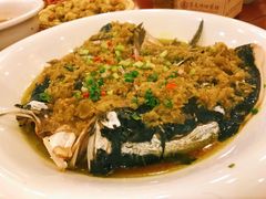 -鸢飞潍坊菜馆(鸢飞大酒店)