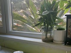 -宾朋海鲜特色美食餐厅·纯手工鲅鱼水饺(兴海路店)