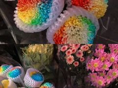 -宝鸡东道花鸟鱼虫市场(吉利花园商场店)
