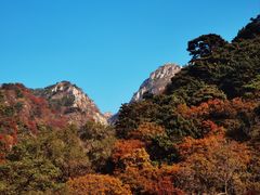-泰山风景名胜区
