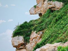 -杨梅坑