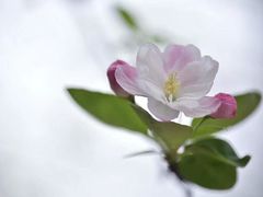 -建坤水席宫(新区店)