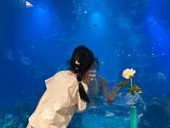 -涛·海底餐厅·美人鱼·自助餐·海底隧道(三亚海棠湾洲际度假酒店)