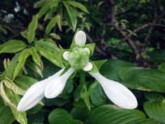 -北门涮肉·炭火铜锅涮肉(什刹海店)