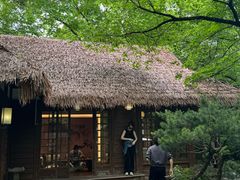 -中国茶叶博物馆(双峰馆区)