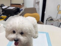 -联合动物医院(光谷诊疗中心)