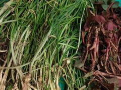 -樱桃山旅游景区