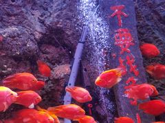 -北海海底世界