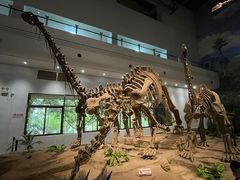 -自贡恐龙博物馆