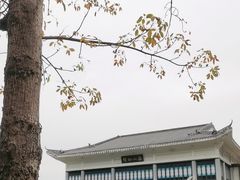 -荔湾湖公园