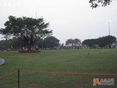 -万绿园