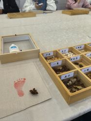 -保丽宝泰母婴护理院·月子中心·产康·中医(常州店)