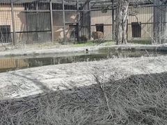 -南昌动物园