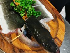 -本炙炭烤·蒲烧活鳗料理店(金沙洲店)