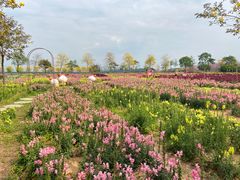 -天适樱花悠乐园