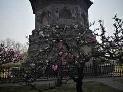 -玲珑塔公园