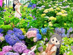 -天适樱花悠乐园