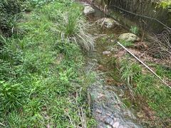 -黄公望隐居地