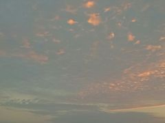 -海豚湾扬帆出海帆船游艇
