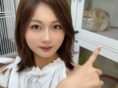 -青奢宠物·青奢猫舍