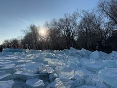 -长春市南湖公园