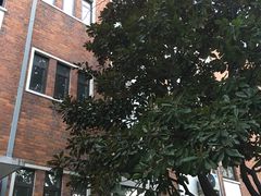 -复旦大学光华楼