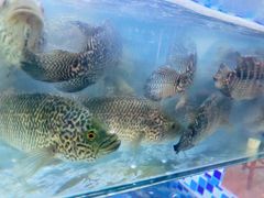 -蔚海之都·象山蒸汽海鲜(仙霞路店)