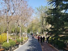 -大兴滨河森林公园