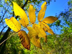 -青峰峡国家森林公园