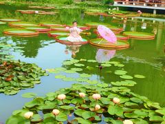 -国家植物园南园