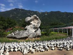 -牛鱼嘴原始生态风景区