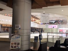 -TheRink大零溜冰场(IFS国金中心店)