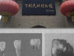 -大槐树寻根祭祖园