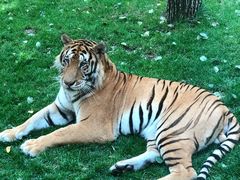 -北京野生动物园