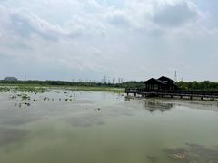 -天津东丽湖风景区