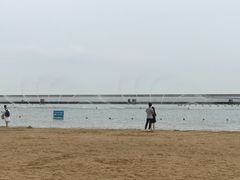 -碧海金沙