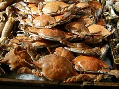 -星伦多 自助料理(圆融店)