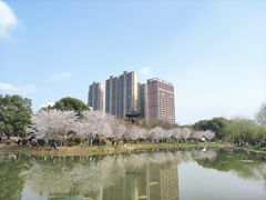 -堤角公园